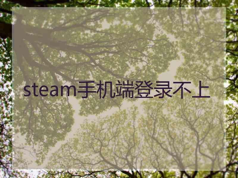 steam手机端登录不上