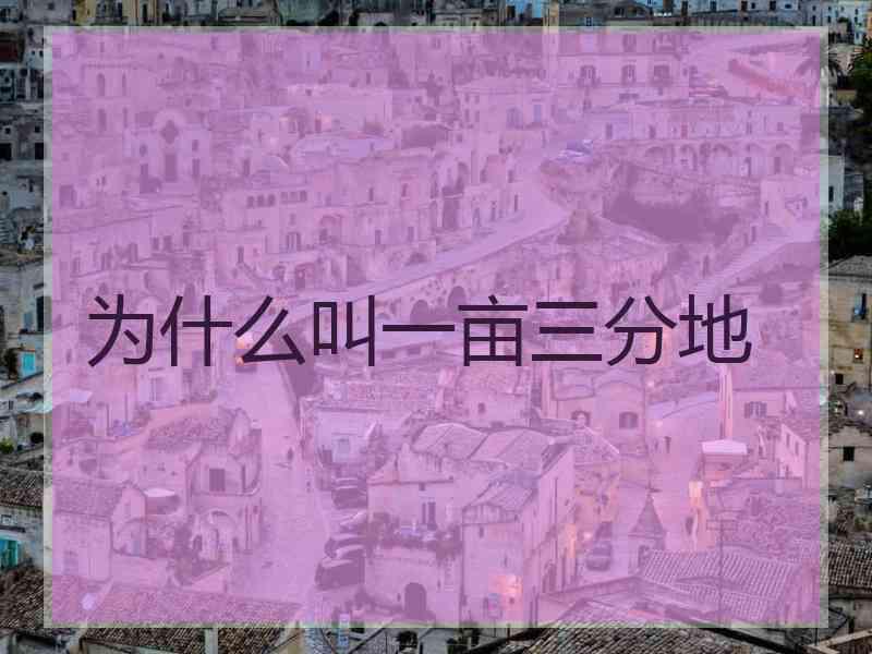 为什么叫一亩三分地