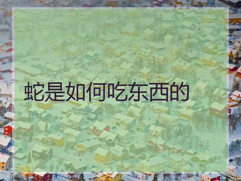 蛇是如何吃东西的