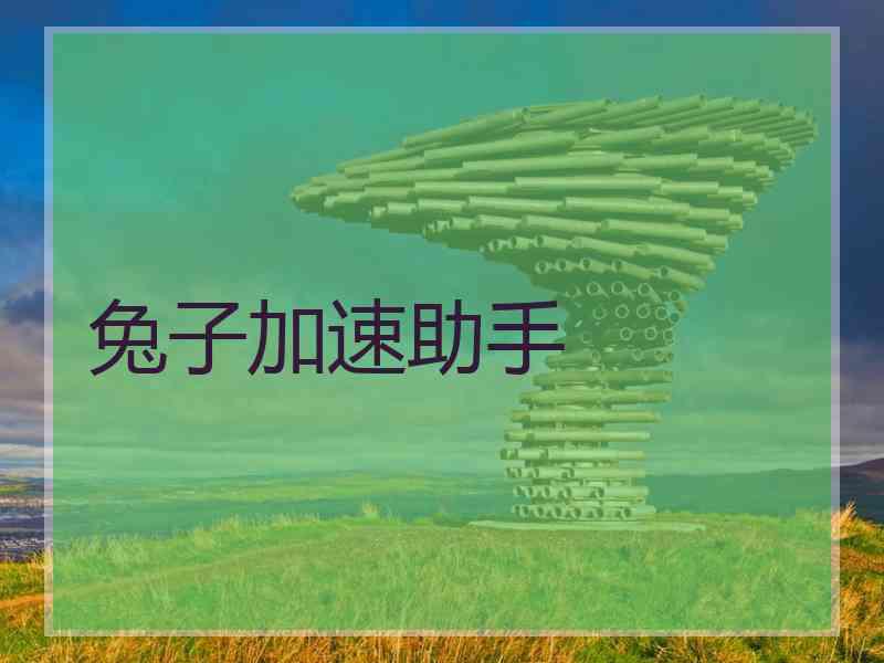 兔子加速助手