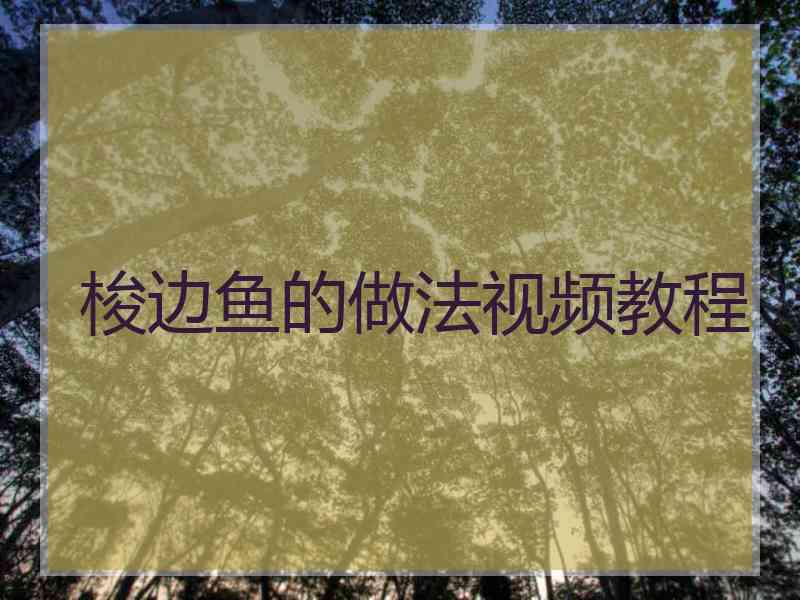 梭边鱼的做法视频教程