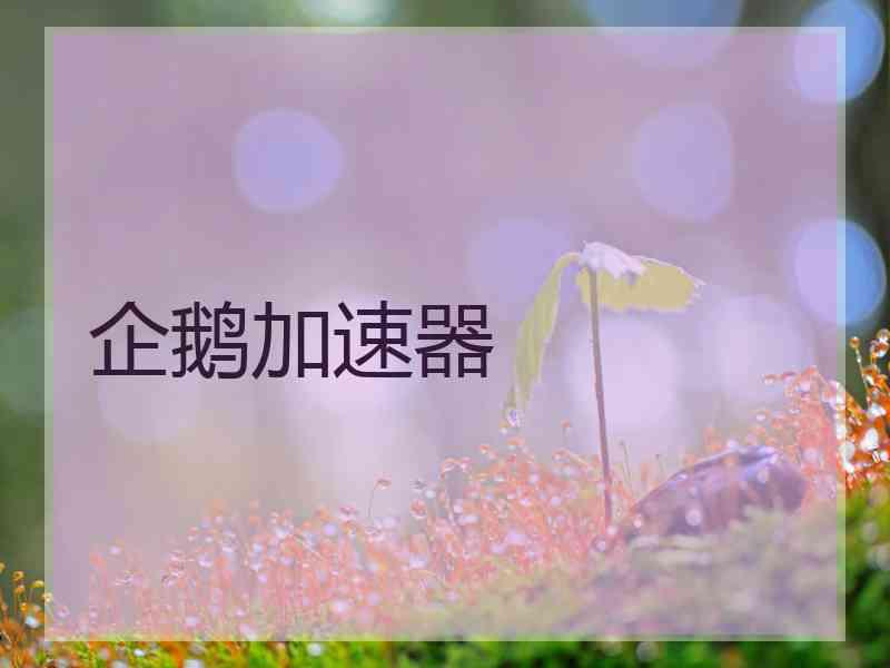 企鹅加速器