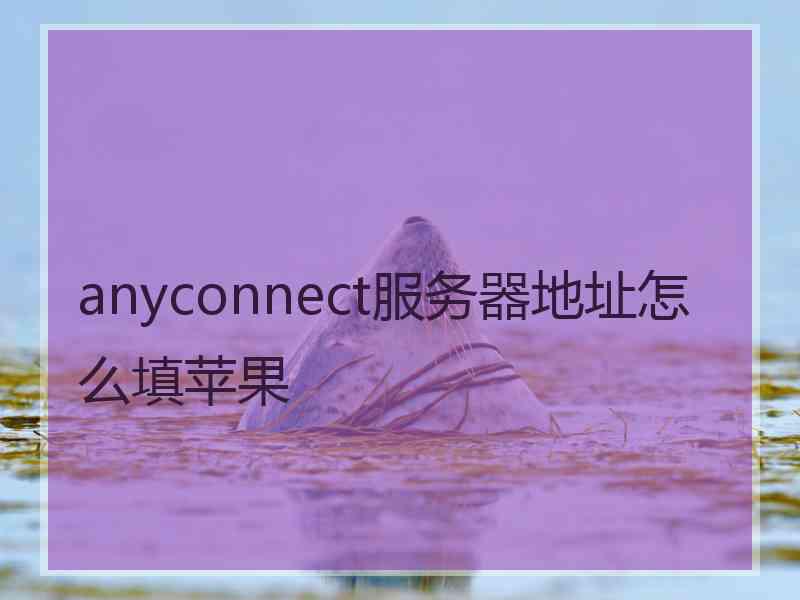 anyconnect服务器地址怎么填苹果