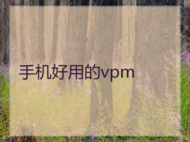 手机好用的vpm