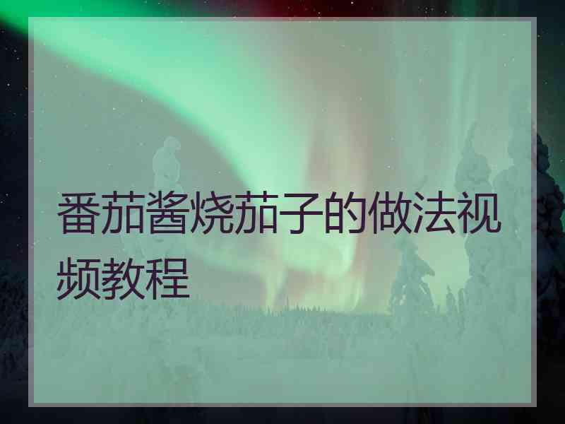 番茄酱烧茄子的做法视频教程