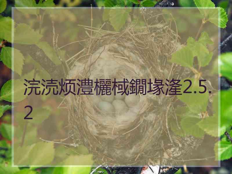 浣涜烦澧欐棫鐗堟湰2.5.2