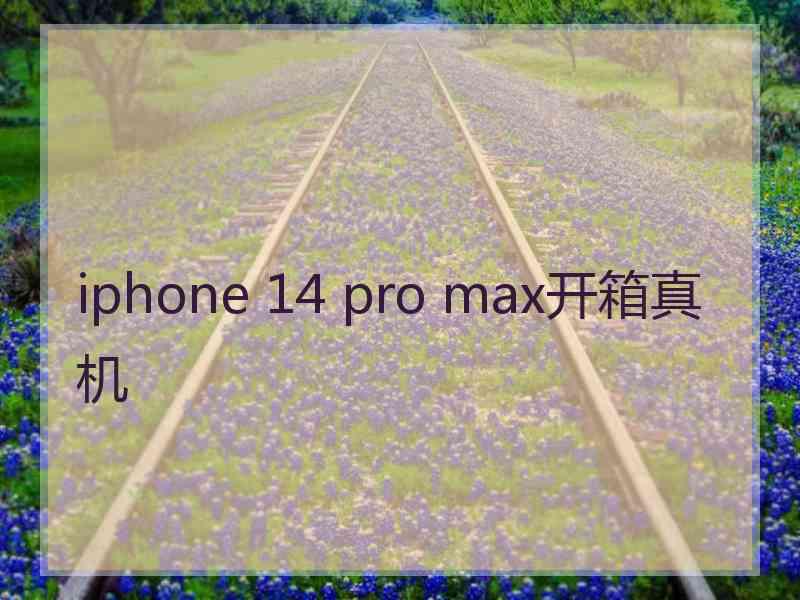 iphone 14 pro max开箱真机