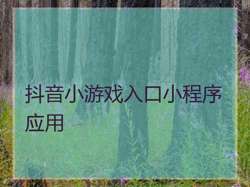 抖音小游戏入口小程序 应用