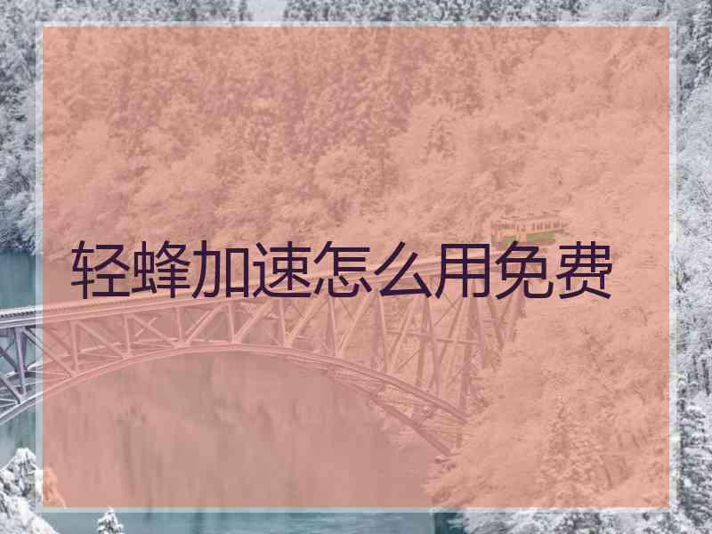 轻蜂加速怎么用免费