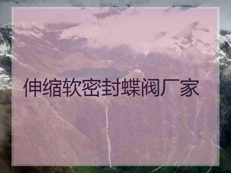 伸缩软密封蝶阀厂家