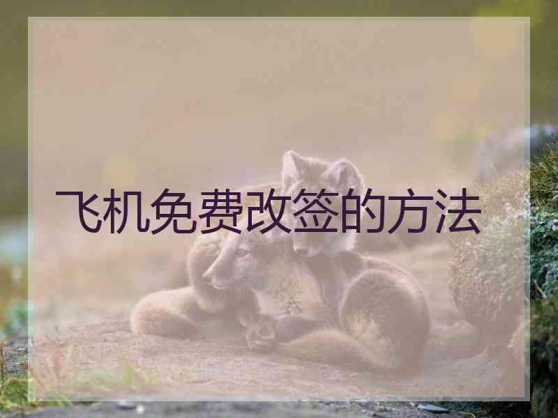 飞机免费改签的方法