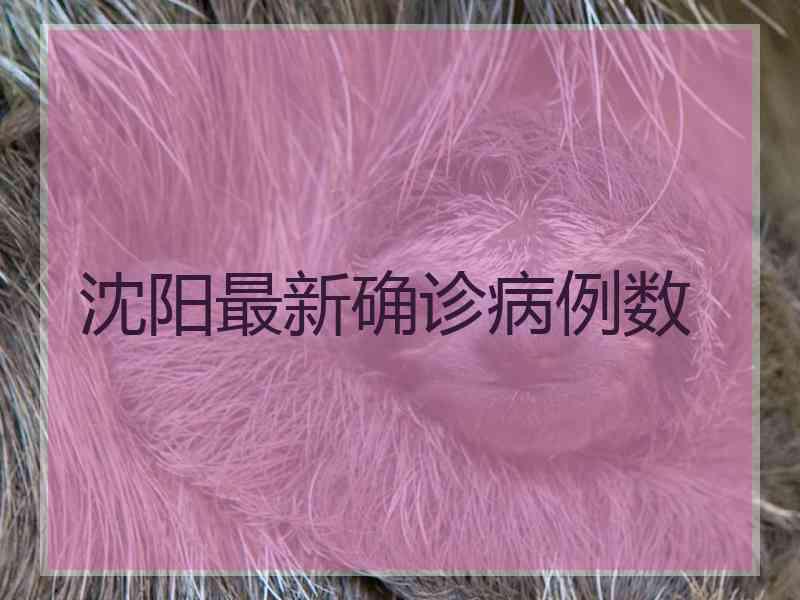 沈阳最新确诊病例数