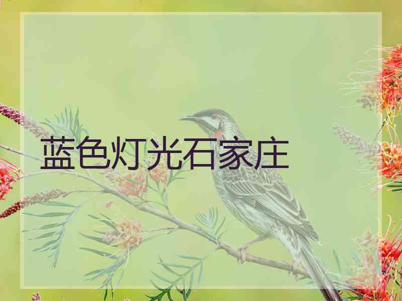 蓝色灯光石家庄