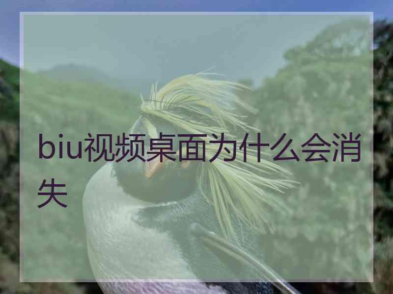 biu视频桌面为什么会消失