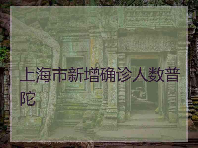 上海市新增确诊人数普陀