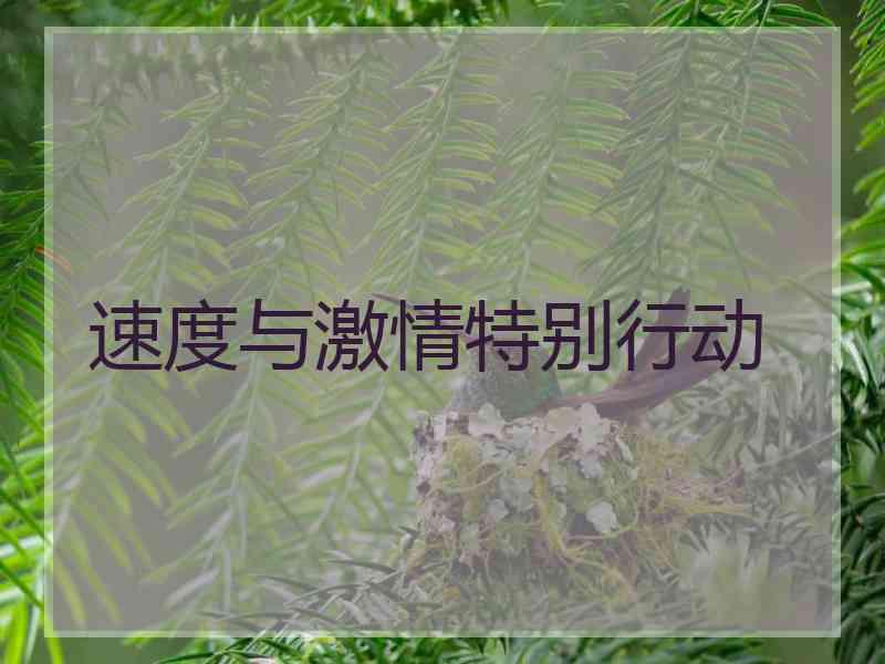 速度与激情特别行动