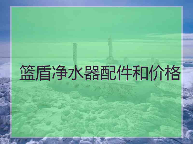 篮盾净水器配件和价格