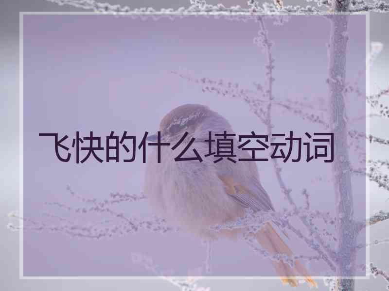 飞快的什么填空动词