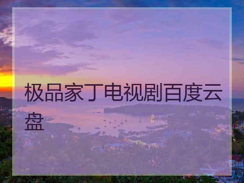 极品家丁电视剧百度云盘