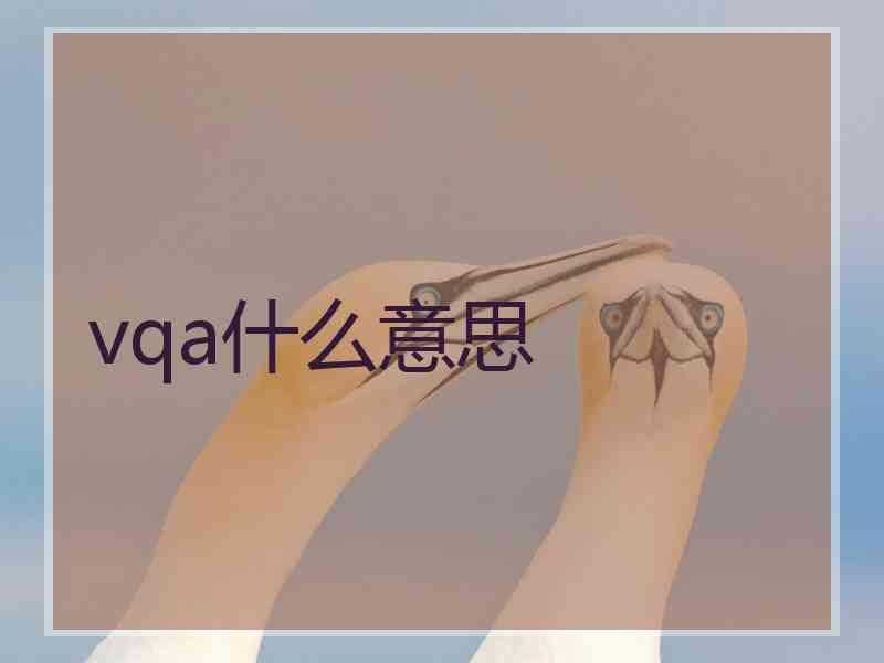 vqa什么意思