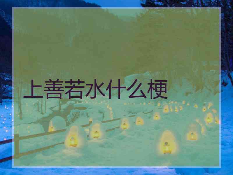 上善若水什么梗