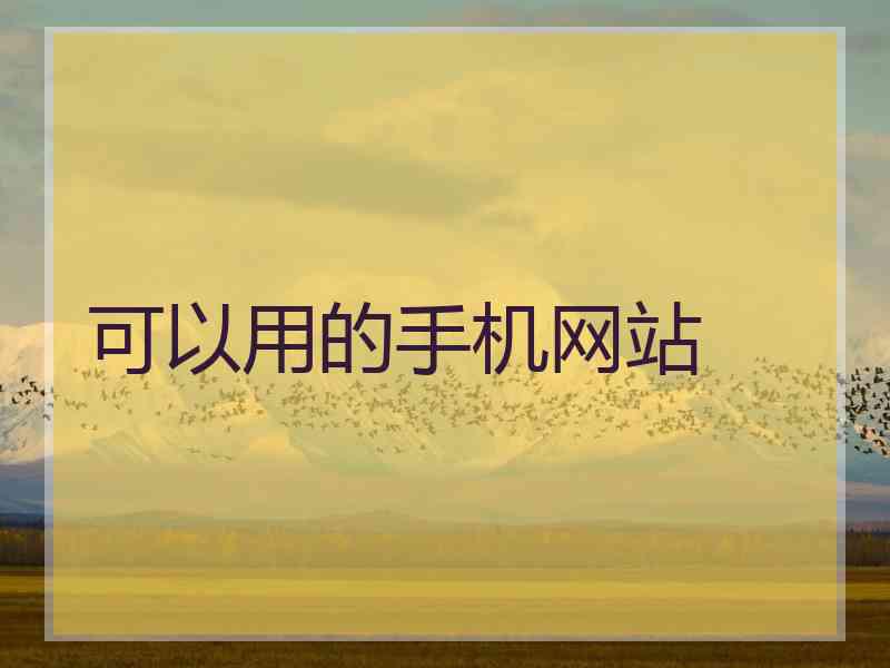 可以用的手机网站
