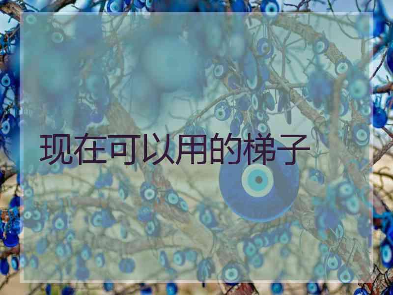 现在可以用的梯子