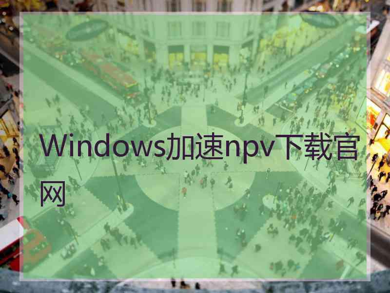 Windows加速npv下载官网