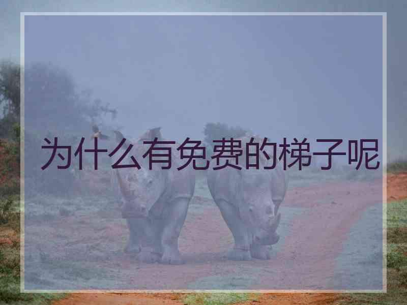 为什么有免费的梯子呢