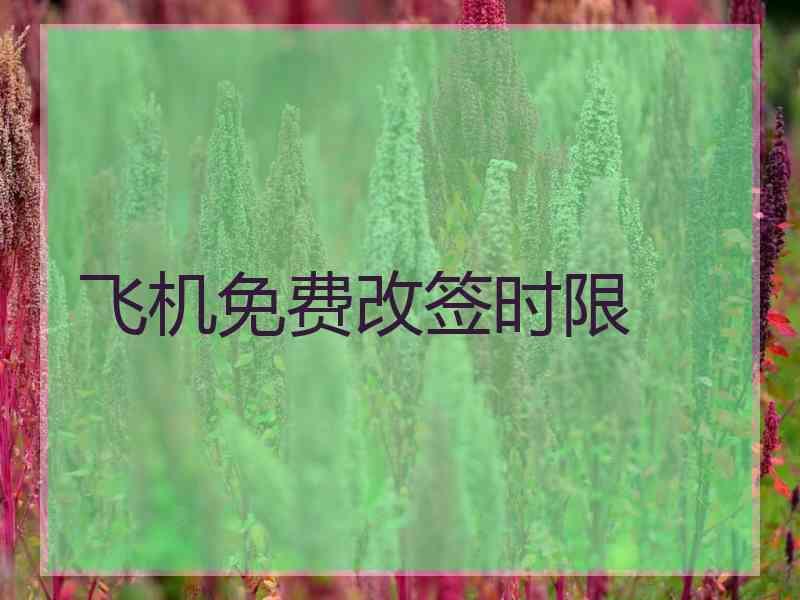 飞机免费改签时限