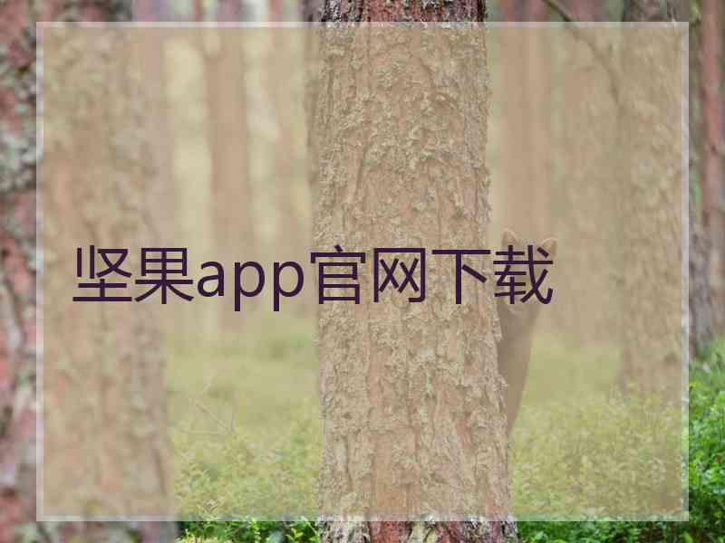 坚果app官网下载