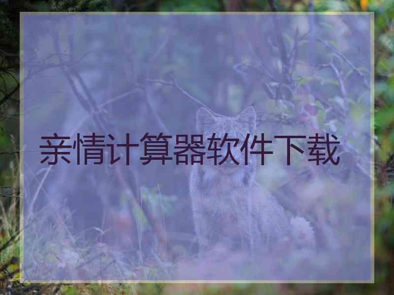 亲情计算器软件下载