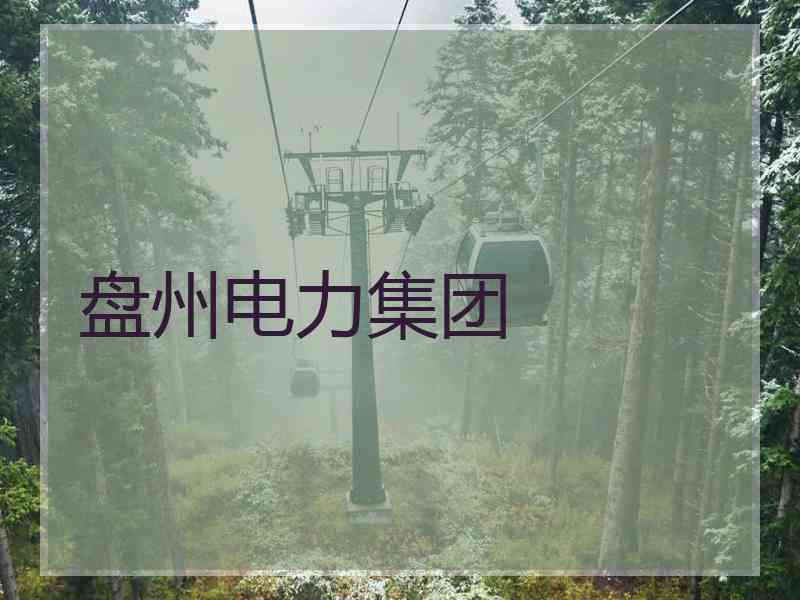 盘州电力集团