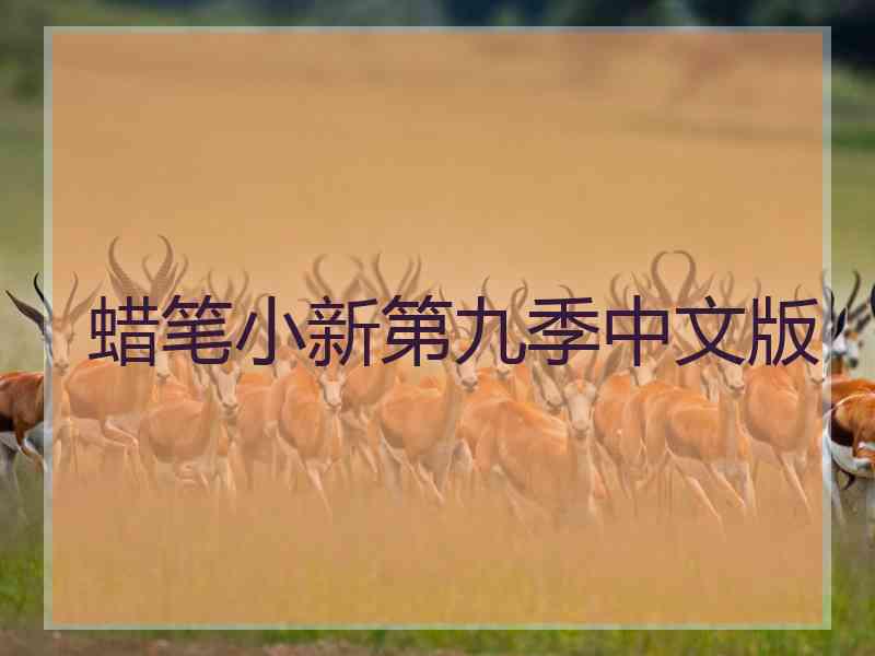 蜡笔小新第九季中文版
