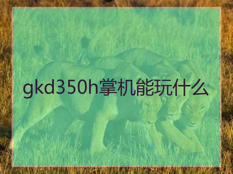 gkd350h掌机能玩什么