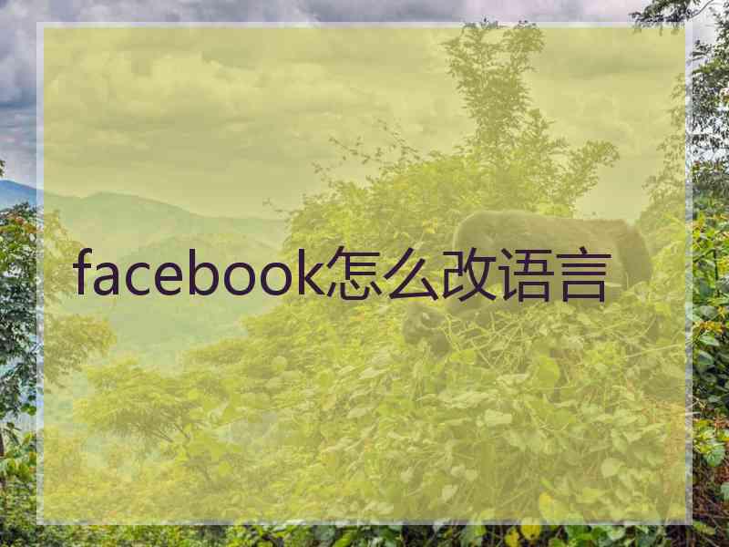 facebook怎么改语言