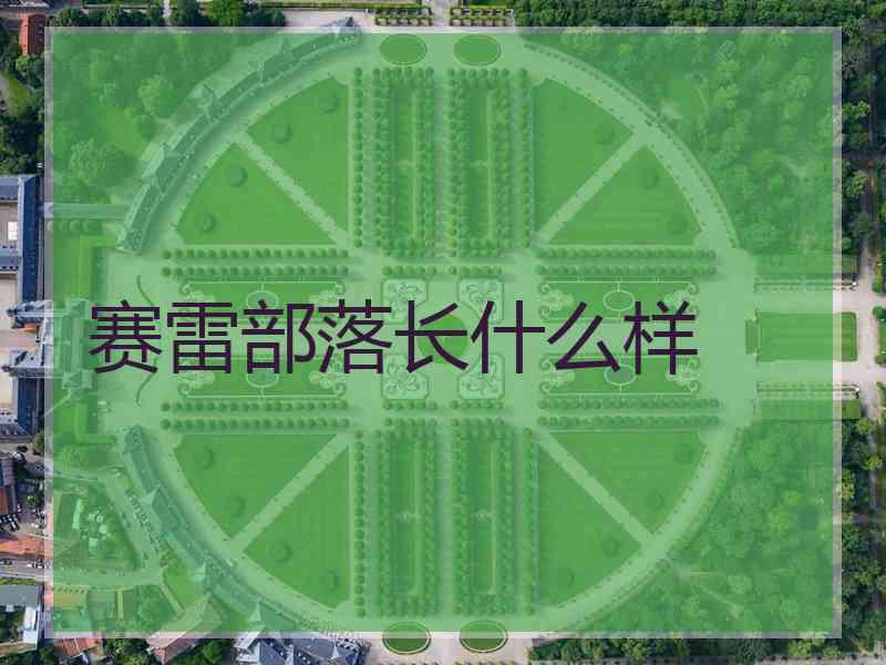 赛雷部落长什么样