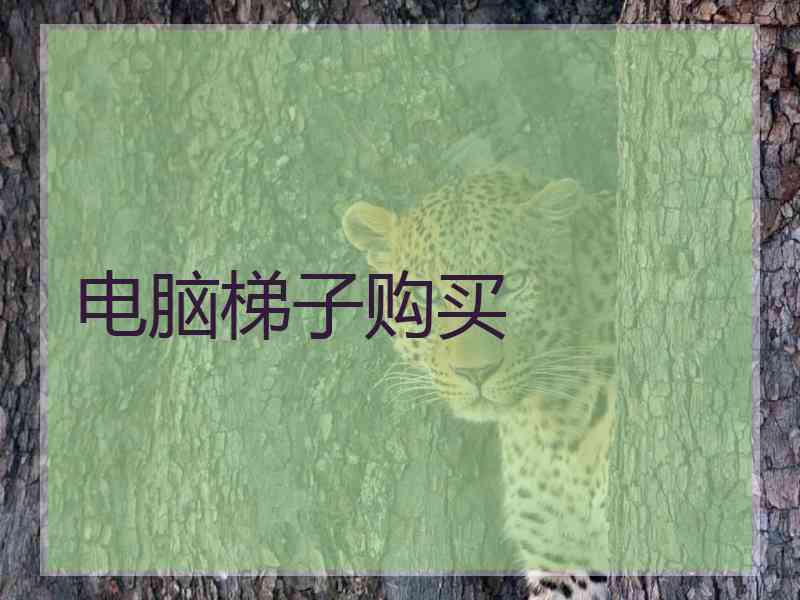 电脑梯子购买