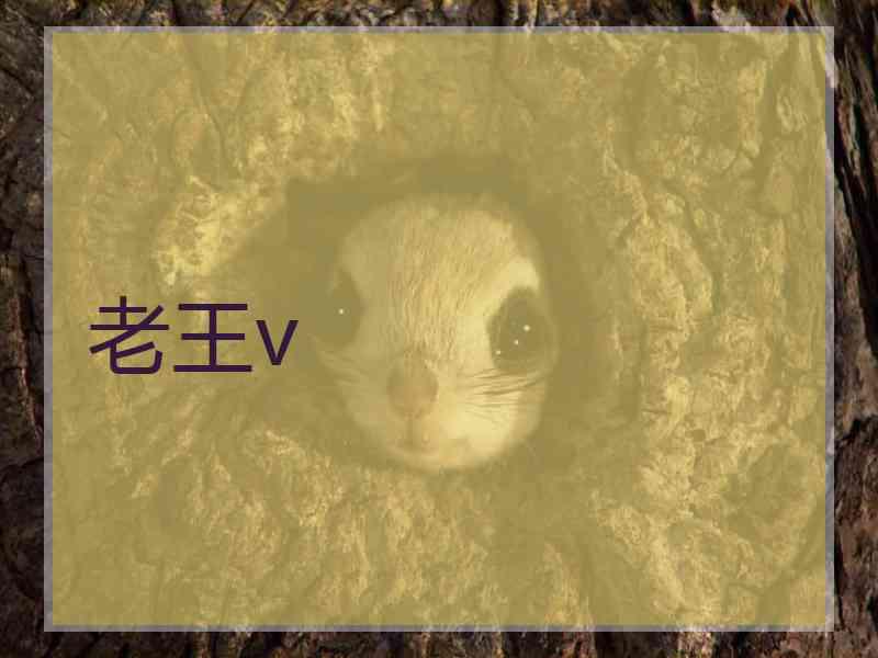 老王v