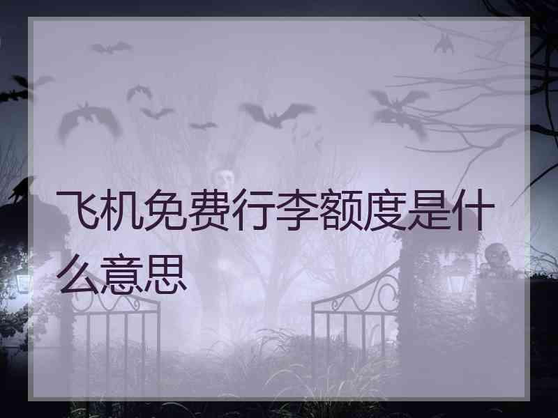 飞机免费行李额度是什么意思