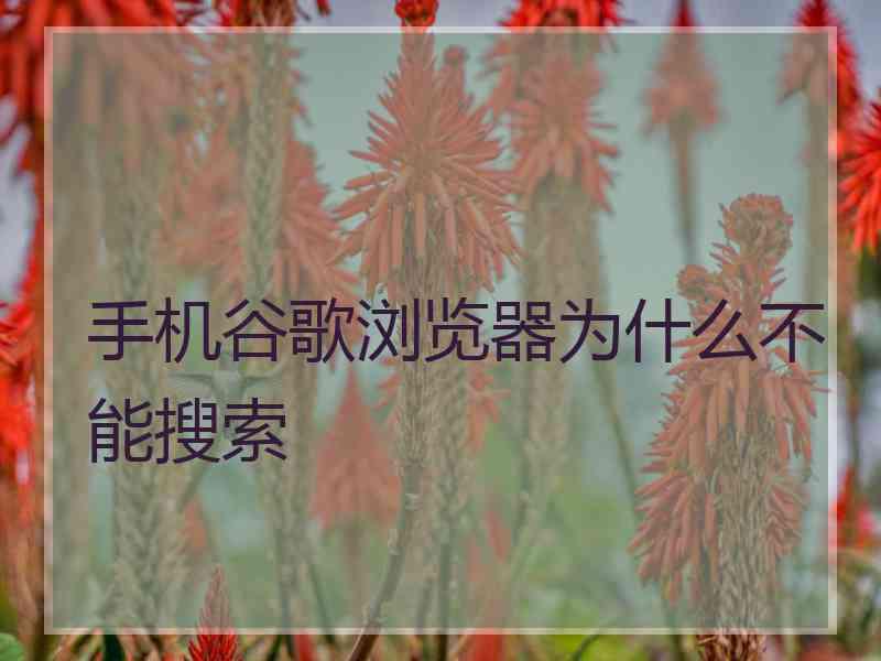 手机谷歌浏览器为什么不能搜索