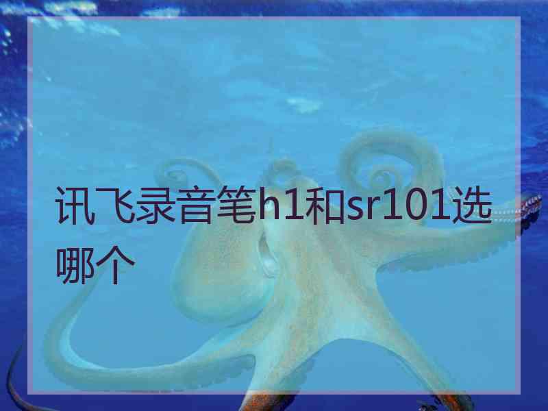 讯飞录音笔h1和sr101选哪个
