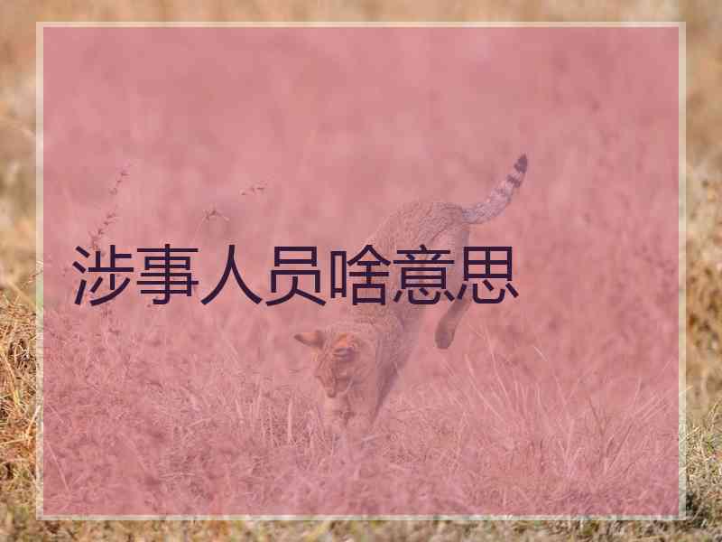涉事人员啥意思