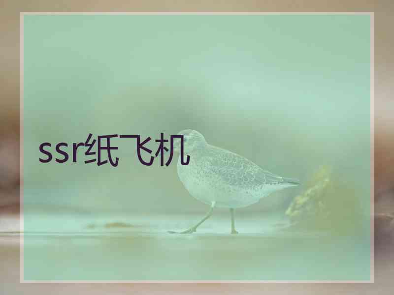 ssr纸飞机