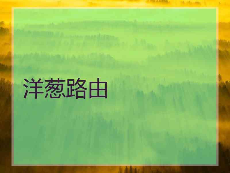洋葱路由