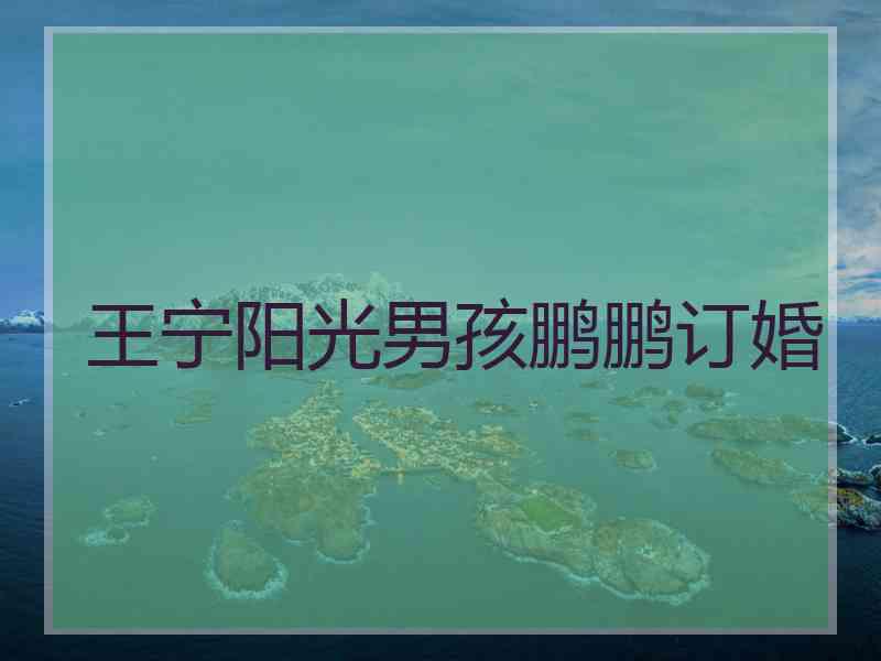 王宁阳光男孩鹏鹏订婚