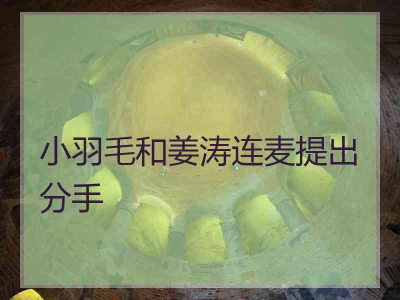 小羽毛和姜涛连麦提出分手