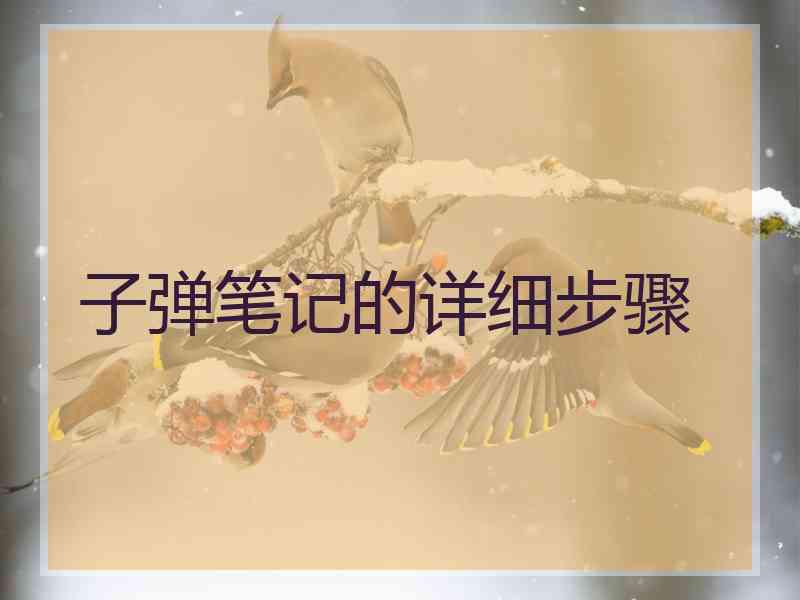 子弹笔记的详细步骤
