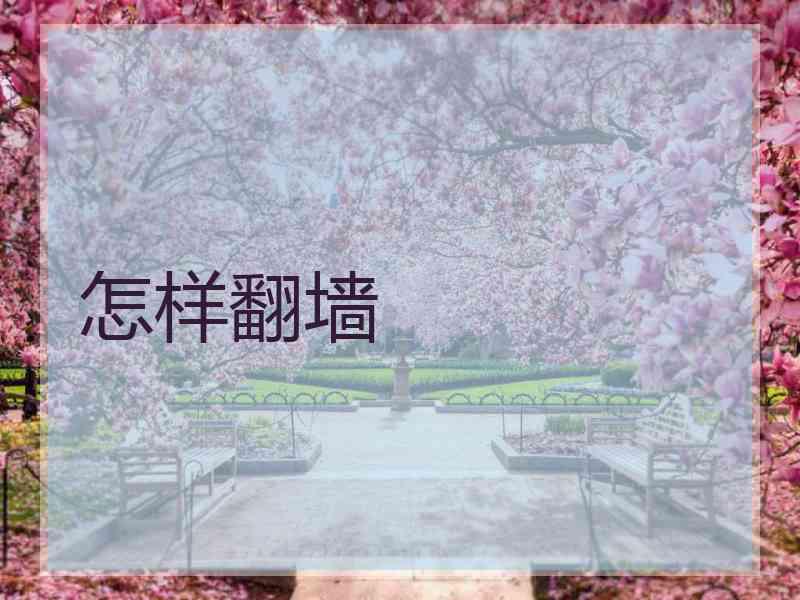 怎样翻墙