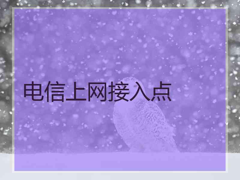 电信上网接入点